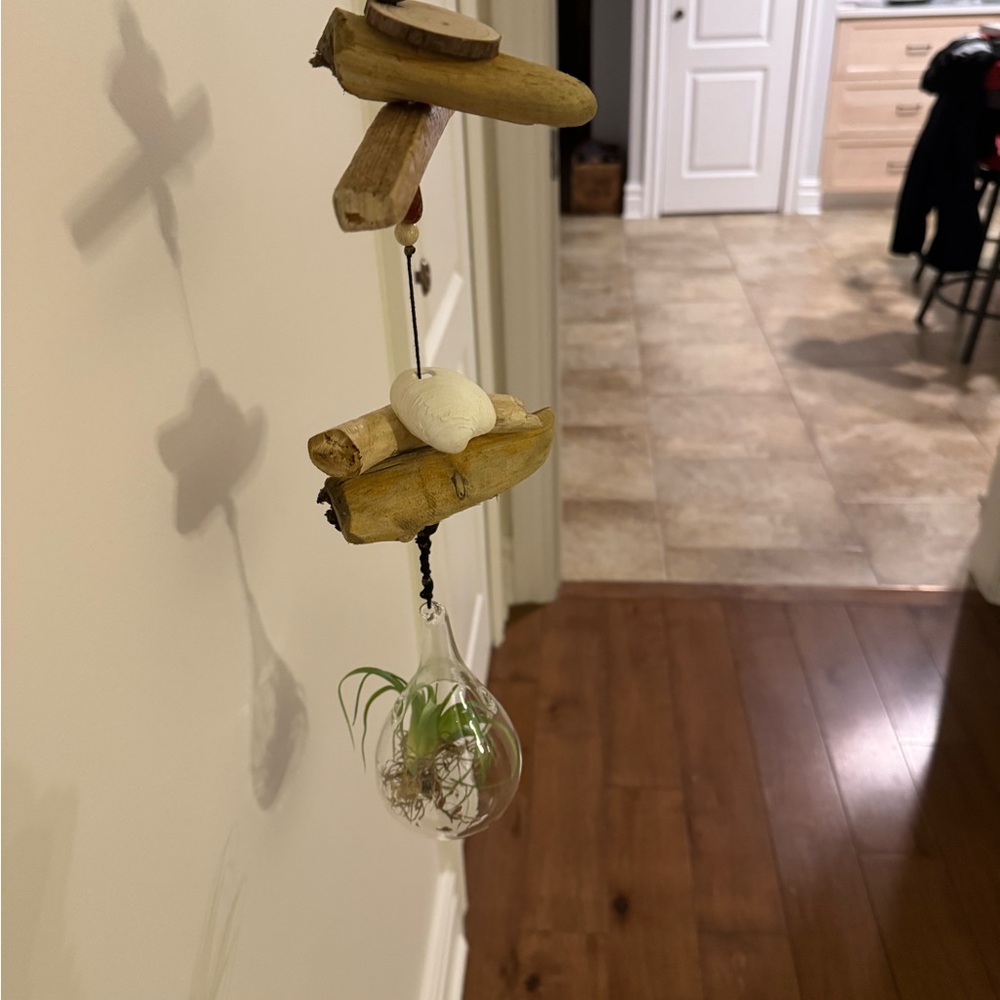 Rustic Driftwood Hanging Shelf with Air Plant - Picture 7 of 7